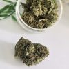 cbd Harlequin