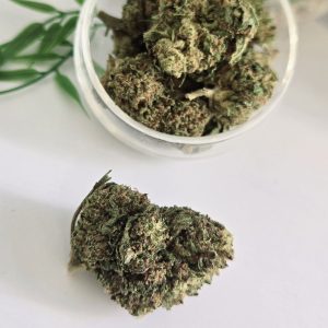 cbd Harlequin