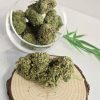CBD fleur
