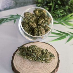 SOUR DIESEL INDOOR CBD