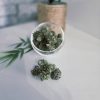 BERRY CBD GH