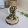 RS11 CBD