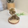 PURPLE PUNCH CBD