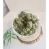California Haze CBD
